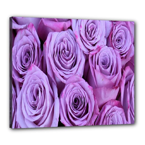 Roses-52 Canvas 24  X 20  (stretched) by nateshop