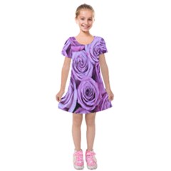 Roses-52 Kids  Short Sleeve Velvet Dress by nateshop