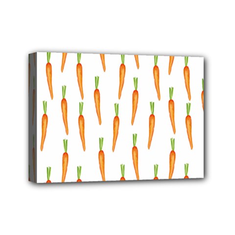 Carrot Mini Canvas 7  X 5  (stretched) by SychEva