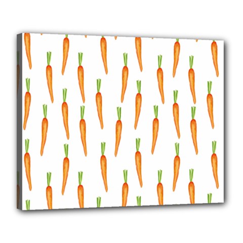 Carrot Canvas 20  X 16  (stretched) by SychEva