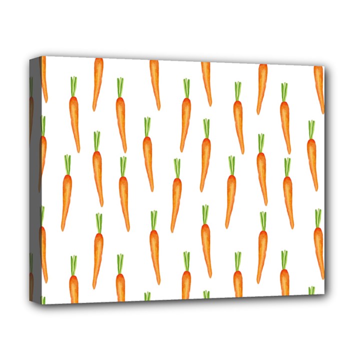 Carrot Deluxe Canvas 20  x 16  (Stretched)