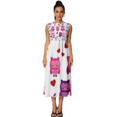 Owl Pattern Sleeveless Round Neck Midi Dress by Salman4z