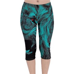 Angry Male Lion Predator Carnivore Velvet Capri Leggings  by Salman4z