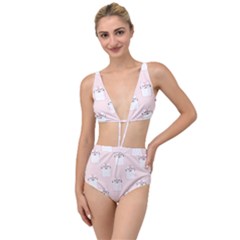 Pattern Pink Cute Sweet Fur Cats Tied Up Two Piece Swimsuit