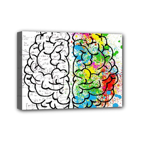 Brain Mind Psychology Idea Drawing Mini Canvas 7  X 5  (stretched) by Salman4z