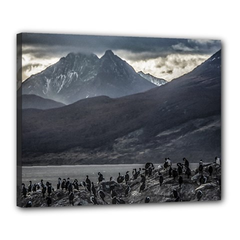 Nature s Symphony: A Portrait Of Ushuaia s Wild Beauty  Canvas 20  X 16  (stretched) by dflcprintsclothing