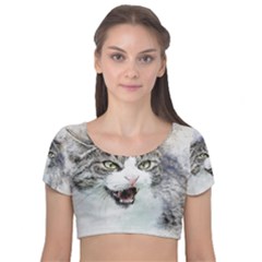 Cat Pet Art Abstract Watercolor Velvet Short Sleeve Crop Top 