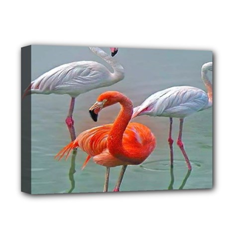 Birds Deluxe Canvas 16  X 12  (stretched)  by Sparkle