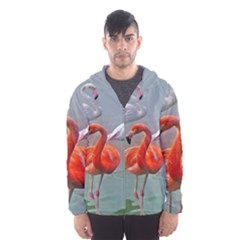 Birds Men s Hooded Windbreaker