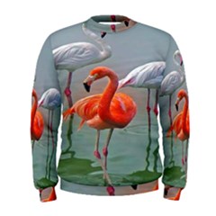 Birds Men s Sweatshirt