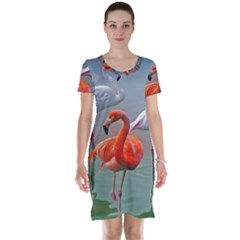 Birds Short Sleeve Nightdress by Sparkle