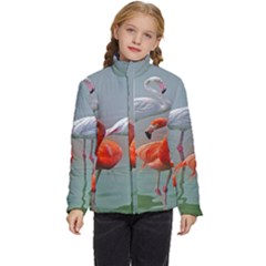 Birds Kids  Puffer Bubble Jacket Coat