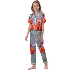 Birds Kids  Satin Short Sleeve Pajamas Set by Sparkle