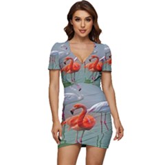 Birds Low Cut Cap Sleeve Mini Dress