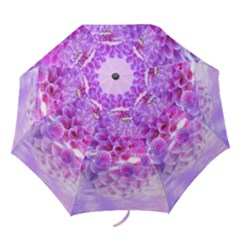 Dahlia Blossom Bloom Dahlias Fall Folding Umbrellas by danenraven