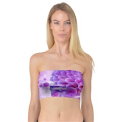 Dahlia Blossom Bloom Dahlias Fall Bandeau Top by danenraven