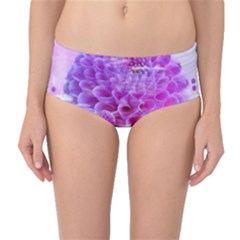 Dahlia Blossom Bloom Dahlias Fall Mid-waist Bikini Bottoms by danenraven