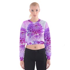 Dahlia Blossom Bloom Dahlias Fall Cropped Sweatshirt by danenraven