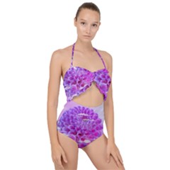 Dahlia Blossom Bloom Dahlias Fall Scallop Top Cut Out Swimsuit by danenraven