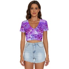 Dahlia Blossom Bloom Dahlias Fall V-neck Crop Top by danenraven