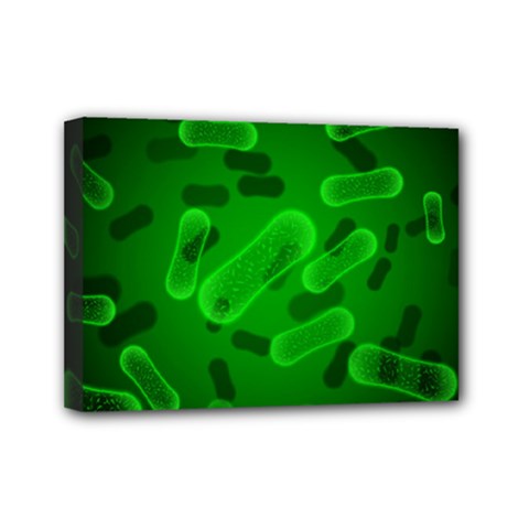 Green-rod-shaped-bacteria Mini Canvas 7  X 5  (stretched) by Salman4z