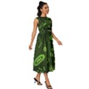 Bacteria-virus-seamless-pattern-inversion Sleeveless Round Neck Midi Dress View3