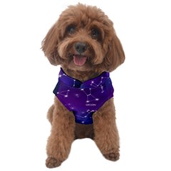 Realistic-night-sky-poster-with-constellations Dog Sweater by Salman4z