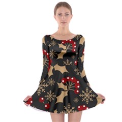 Christmas Pattern With Snowflakes Berries Long Sleeve Skater Dress by pakminggu