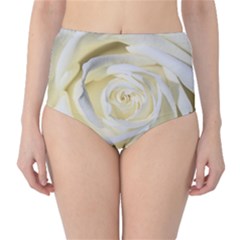 White Roses Flowers Plant Romance Blossom Bloom Nature Flora Petals Classic High-waist Bikini Bottoms by pakminggu