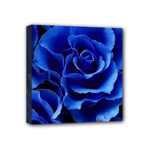 Blue Roses Flowers Plant Romance Blossom Bloom Nature Flora Petals Mini Canvas 4  X 4  (stretched) by pakminggu