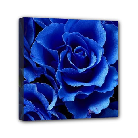 Blue Roses Flowers Plant Romance Blossom Bloom Nature Flora Petals Mini Canvas 6  X 6  (stretched) by pakminggu