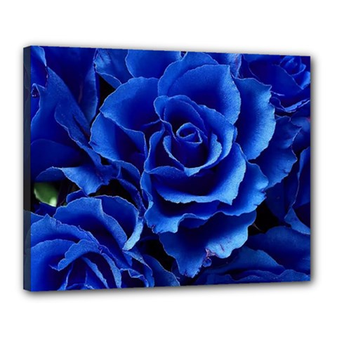 Blue Roses Flowers Plant Romance Blossom Bloom Nature Flora Petals Canvas 20  X 16  (stretched) by pakminggu