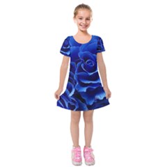 Blue Roses Flowers Plant Romance Blossom Bloom Nature Flora Petals Kids  Short Sleeve Velvet Dress by pakminggu