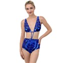 Blue Roses Flowers Plant Romance Blossom Bloom Nature Flora Petals Tied Up Two Piece Swimsuit View1