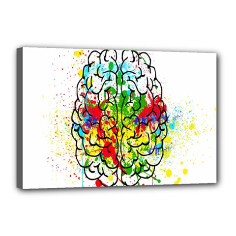 Brain Mind Psychology Idea Hearts Canvas 18  X 12  (stretched) by pakminggu