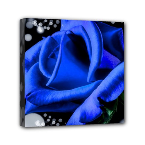 Blue Rose Roses Bloom Blossom Mini Canvas 6  X 6  (stretched) by pakminggu