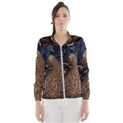 Peacock Plumage Bird  Pattern Graceful Women s Windbreaker by pakminggu