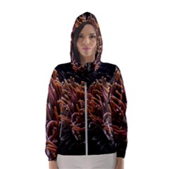 Sea Anemone Coral Underwater Ocean Sea Water Women s Hooded Windbreaker by pakminggu