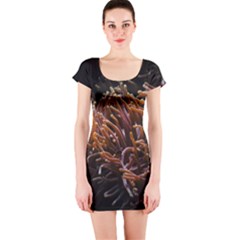 Sea Anemone Coral Underwater Ocean Sea Water Short Sleeve Bodycon Dress by pakminggu