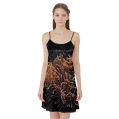 Sea Anemone Coral Underwater Ocean Sea Water Satin Night Slip by pakminggu