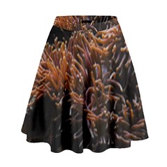 Sea Anemone Coral Underwater Ocean Sea Water High Waist Skirt by pakminggu