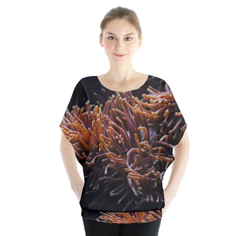 Sea Anemone Coral Underwater Ocean Sea Water Batwing Chiffon Blouse by pakminggu