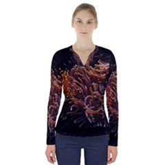 Sea Anemone Coral Underwater Ocean Sea Water V-neck Long Sleeve Top by pakminggu