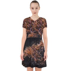 Sea Anemone Coral Underwater Ocean Sea Water Adorable In Chiffon Dress by pakminggu