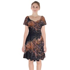 Sea Anemone Coral Underwater Ocean Sea Water Short Sleeve Bardot Dress by pakminggu