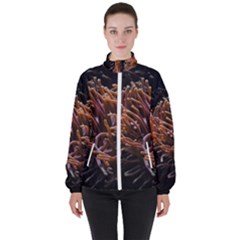 Sea Anemone Coral Underwater Ocean Sea Water Women s High Neck Windbreaker by pakminggu