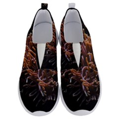 Sea Anemone Coral Underwater Ocean Sea Water No Lace Lightweight Shoes