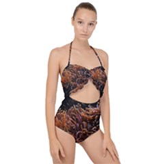 Sea Anemone Coral Underwater Ocean Sea Water Scallop Top Cut Out Swimsuit