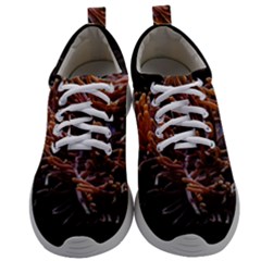 Sea Anemone Coral Underwater Ocean Sea Water Mens Athletic Shoes by pakminggu