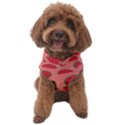 Watermelon Red Food Fruit Healthy Summer Fresh Dog Sweater View1